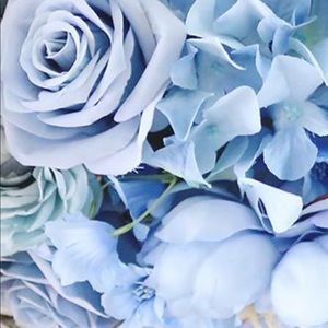 Meet your Posher, Ileana